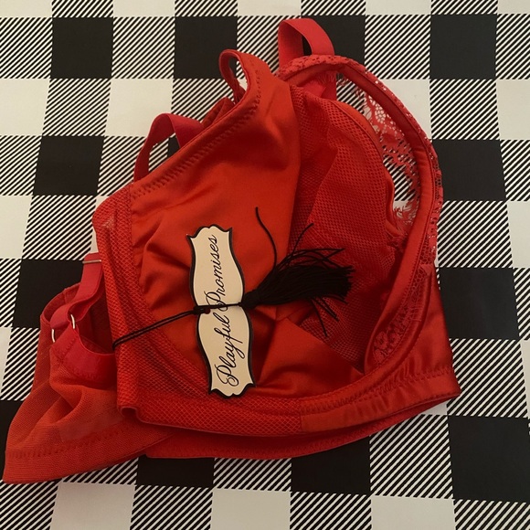 Zoya Curve Fishnet and Lace Plunge Bra - Picture 5 of 5